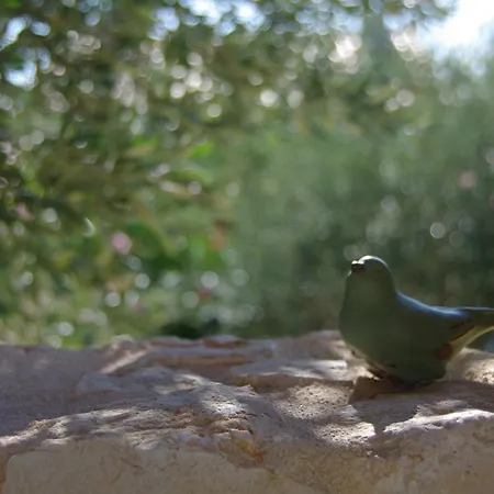 Decouvertes فندق مبيت وإفطار Uzès